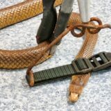 snake bite dog cat vet