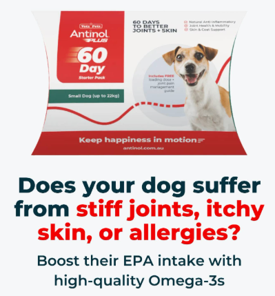 Get 5-10% discount on Antinol pet supplements.