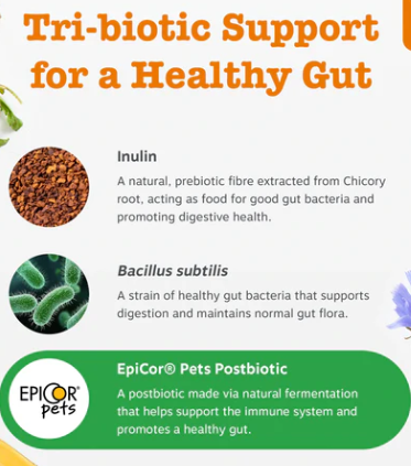 Get 20% discount on Zesty Paws Pre, Post & Probiotic Chews